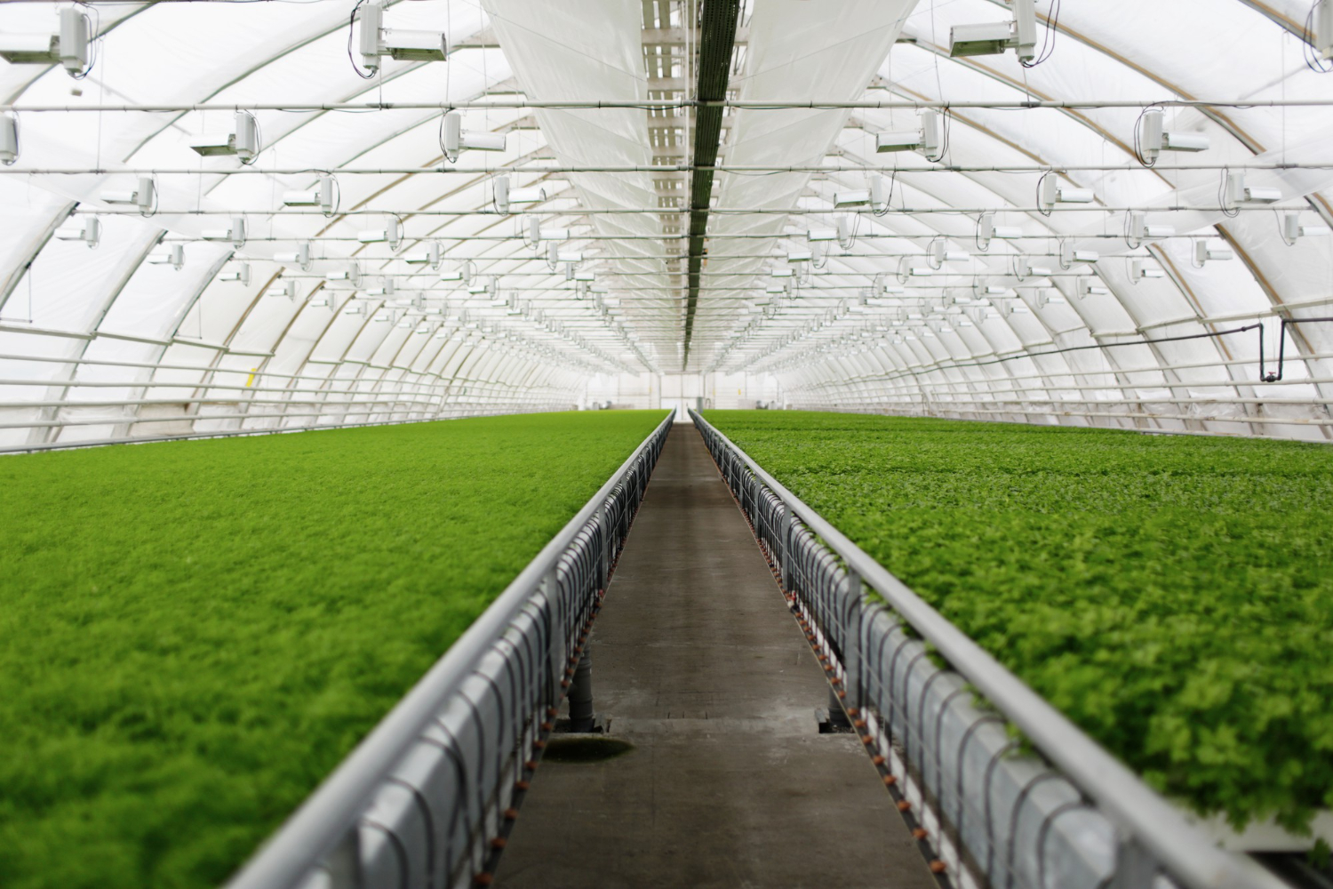 Commercial farm — aerial view