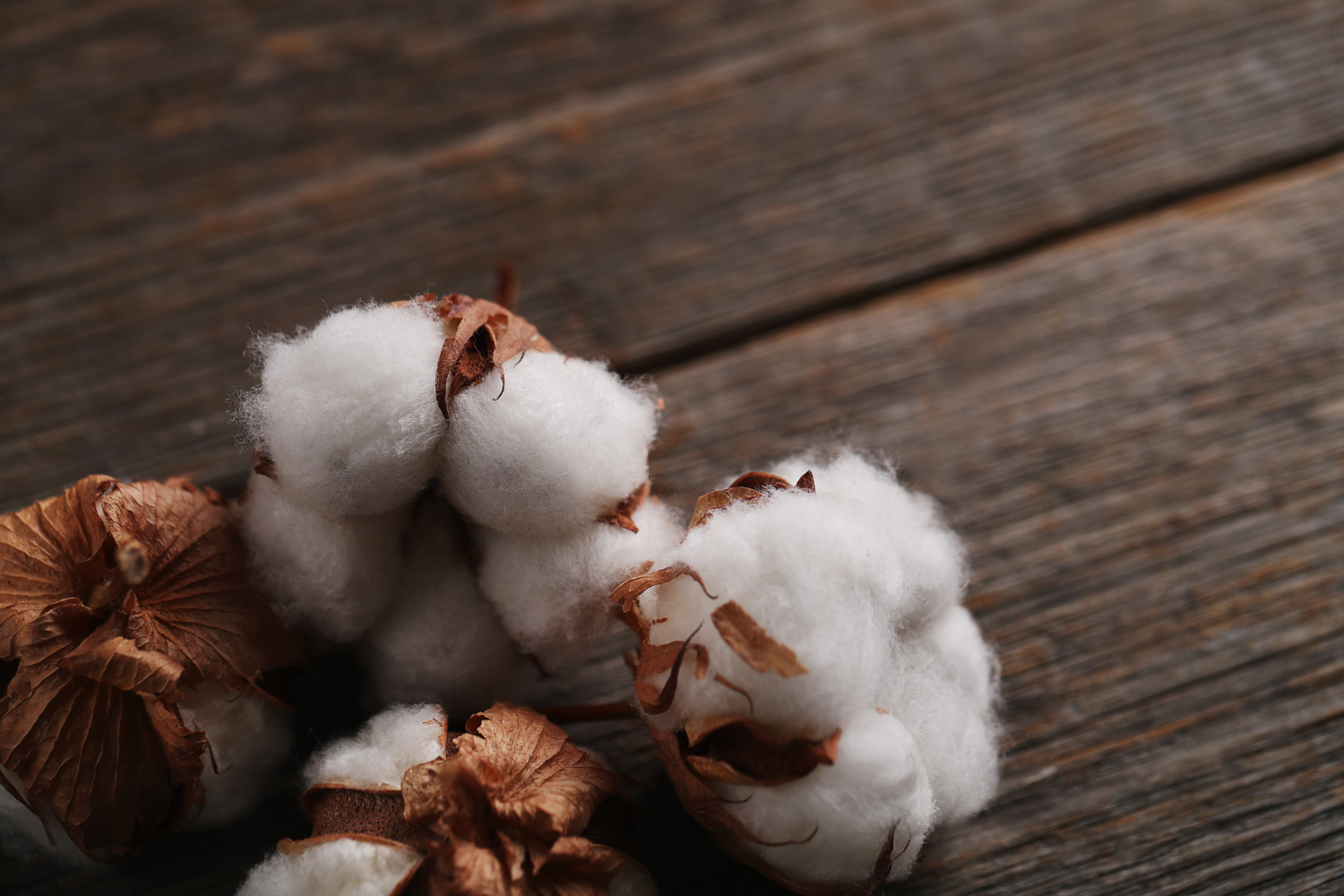 Cotton